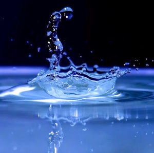 Meet your Posher, Kiara